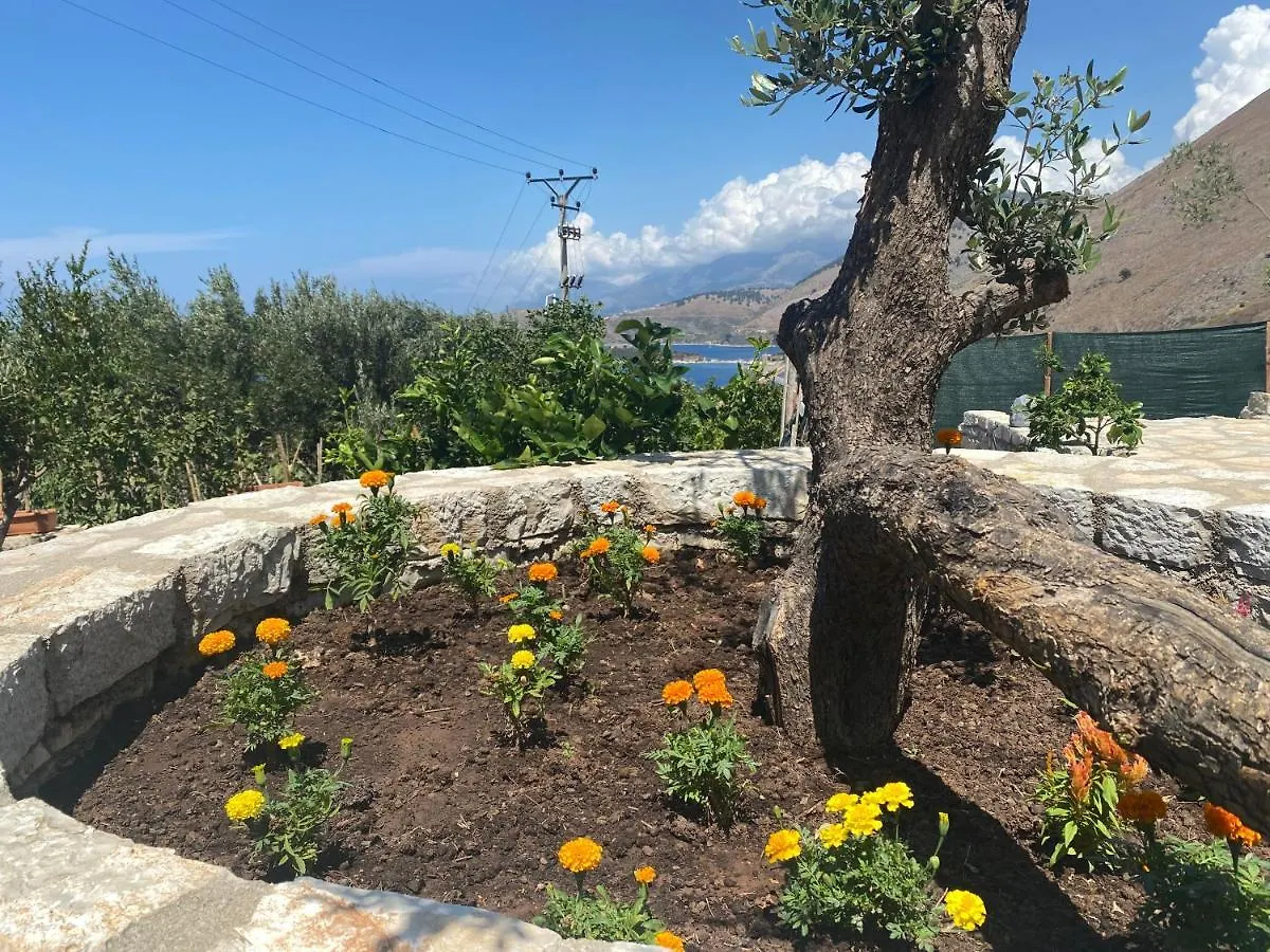Vila D Boutique Hotel Qeparo Albanië