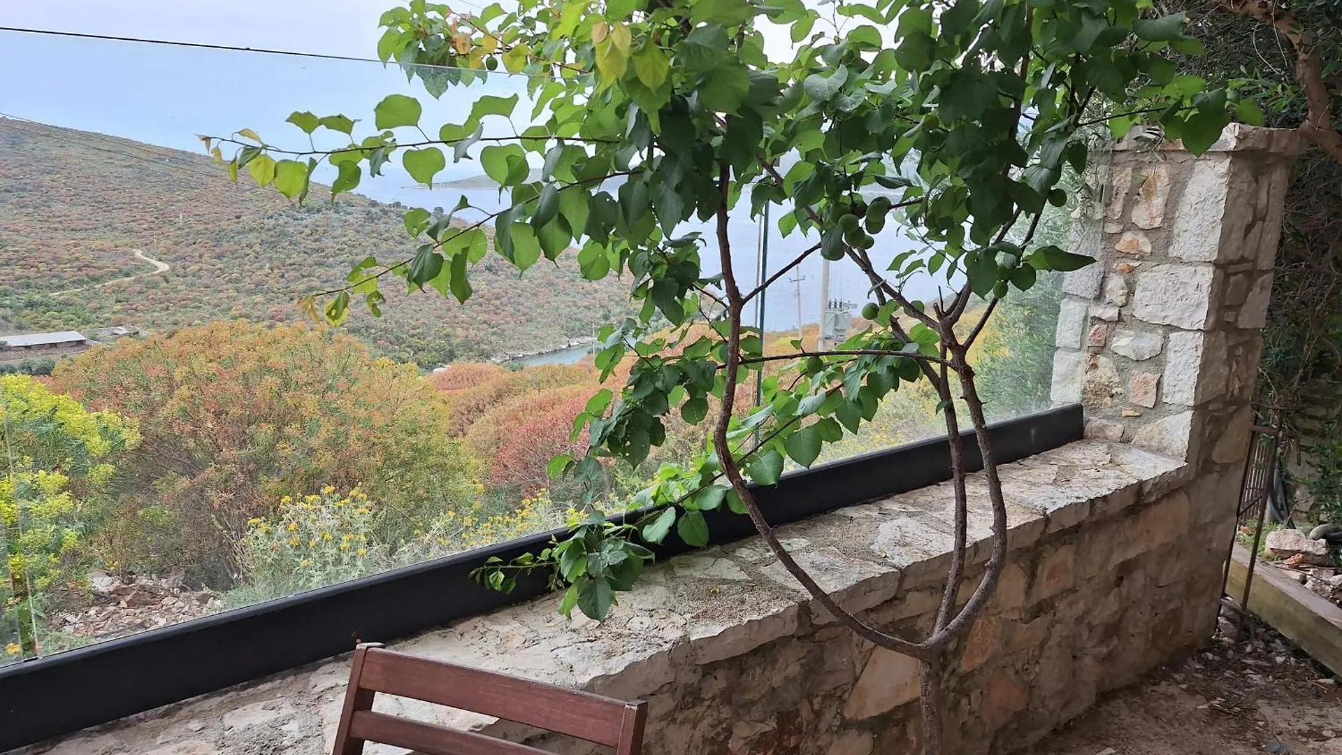 Vila D Boutique Hotel Qeparo Albania